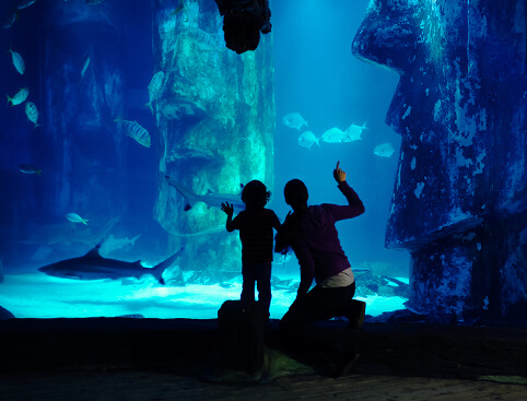 SEA LIFE London