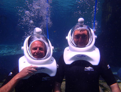 SeaVenture at Discovery Cove